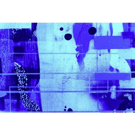 Komar / Roswitha Huber poszter