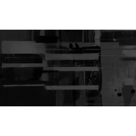 Komar / Roswitha Huber poszter