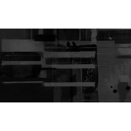 Komar / Roswitha Huber poszter