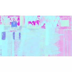 Komar / Roswitha Huber poszter