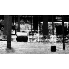 Komar / Roswitha Huber poszter