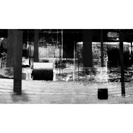 Komar / Roswitha Huber poszter