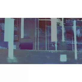 Komar / Roswitha Huber poszter