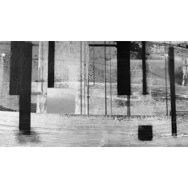 Komar / Roswitha Huber poszter