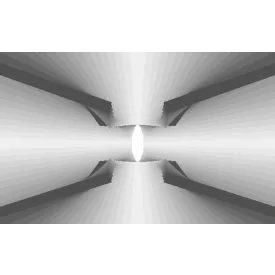 Komar / Roswitha Huber poszter