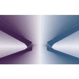 Komar / Roswitha Huber poszter