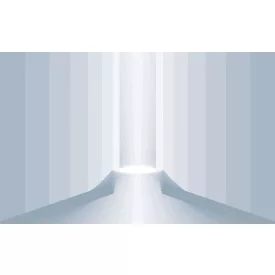 Komar / Roswitha Huber poszter