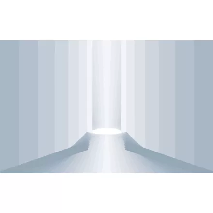 Komar / Roswitha Huber poszter