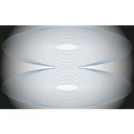 Komar / Roswitha Huber poszter