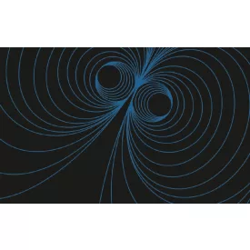 Komar / Roswitha Huber poszter