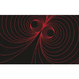 Komar / Roswitha Huber poszter