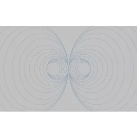 Komar / Roswitha Huber poszter