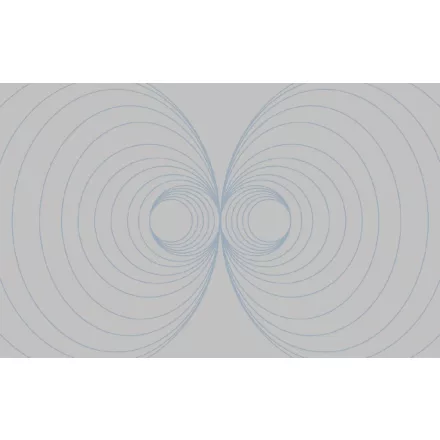 Komar / Roswitha Huber poszter