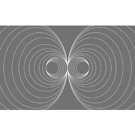 Komar / Roswitha Huber poszter