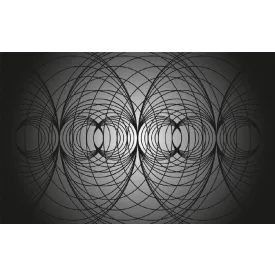 Komar / Roswitha Huber poszter