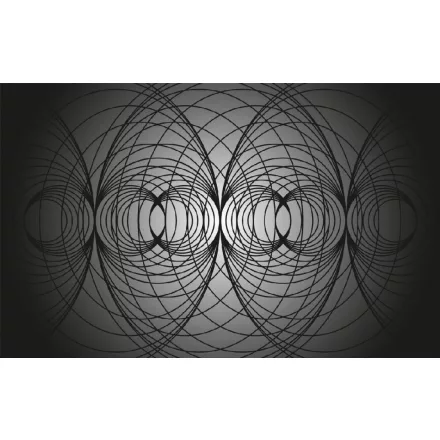 Komar / Roswitha Huber poszter