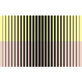 Komar / Roswitha Huber poszter