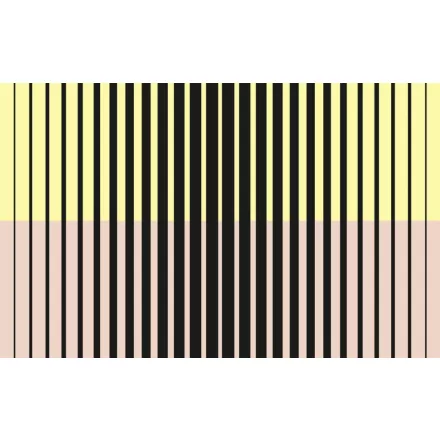 Komar / Roswitha Huber poszter