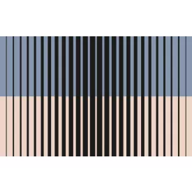 Komar / Roswitha Huber poszter