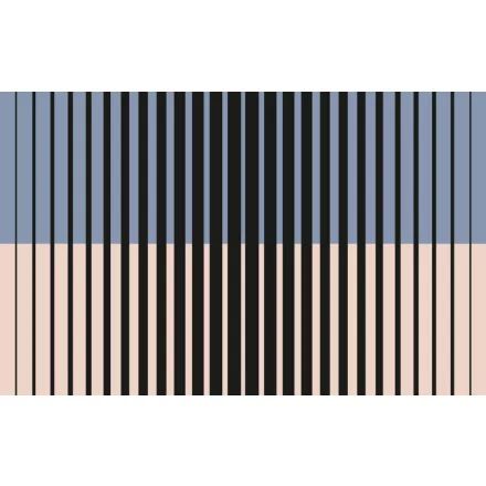 Komar / Roswitha Huber poszter