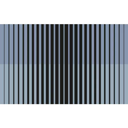 Komar / Roswitha Huber poszter