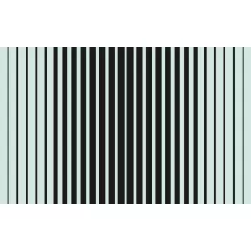 Komar / Roswitha Huber poszter