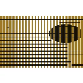 Komar / Roswitha Huber poszter