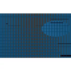 Komar / Roswitha Huber poszter