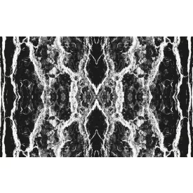 Komar / Roswitha Huber poszter