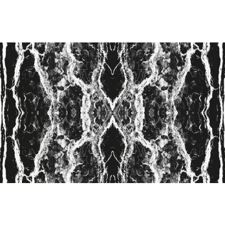 Komar / Roswitha Huber poszter