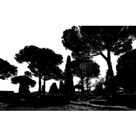 Komar / Roswitha Huber poszter