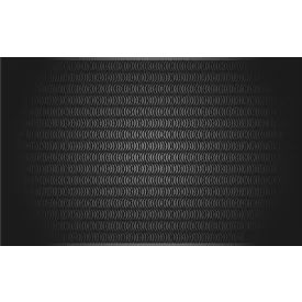 Komar / Roswitha Huber poszter