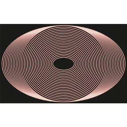 Komar / Roswitha Huber poszter