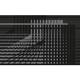 Komar / Roswitha Huber poszter