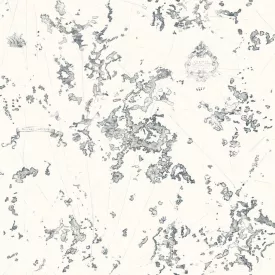 Casadeco / Rivage tapéta