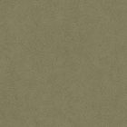 Casadeco / Riverside 4 tapéta