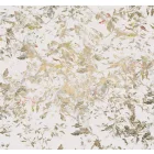 Komar / Raw Edition 1 poszter