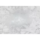 Komar / Raw Edition 1 poszter