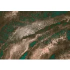 Komar / Raw Edition 1 poszter