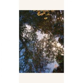 Casadeco / Riverside 3 tapéta