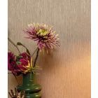 KEK Amsterdam / tapéta