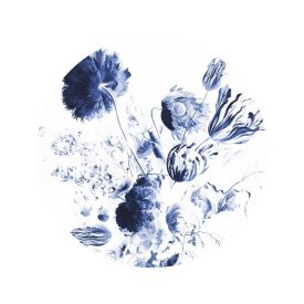 KEK Amsterdam / SC - Kör tapéta