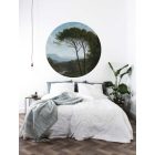 KEK Amsterdam / SC - Kör tapéta