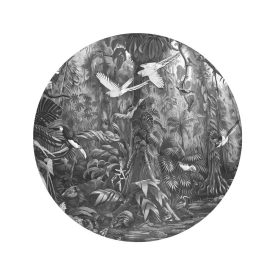 KEK Amsterdam / SC - Kör tapéta