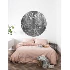 KEK Amsterdam / SC - Kör tapéta