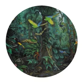 Kek Amsterdam / SC - Kör tapéta