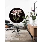 KEK Amsterdam / SC - Kör tapéta