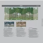 Adawall / Seasons poszter