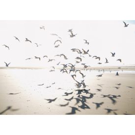 Casadeco / Seaside tapéta