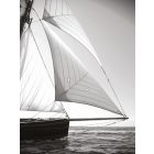 Casadeco / Seaside plakát